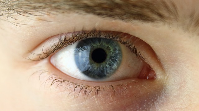 Auge in Nahaufnahme – Blickkontakt macht Videos überzeugend